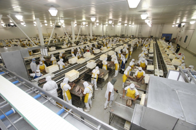 Empleados trabajando en una fábrica de industria alimentaria